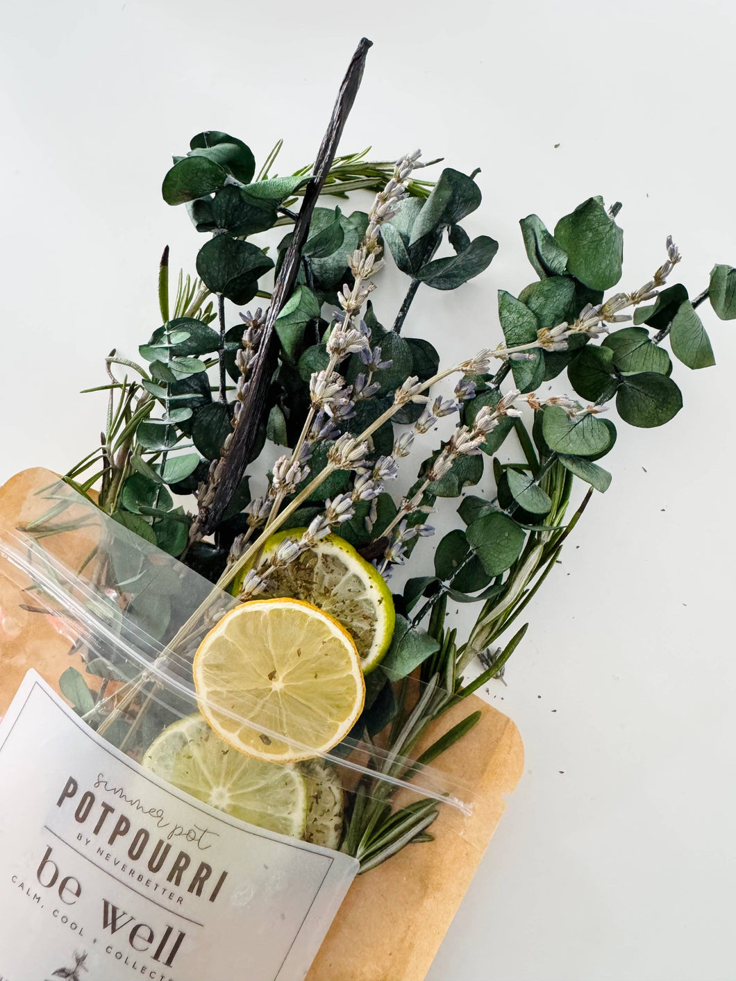 Be Well Simmer Pot Potpourri