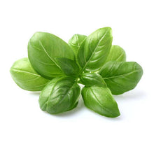 Load image into Gallery viewer, Basil Heirloom Seed Packets, Genovese Sweet Herb