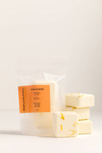 Load image into Gallery viewer, Pomander Autumn Botanical Shower Steamers - Orange Clove