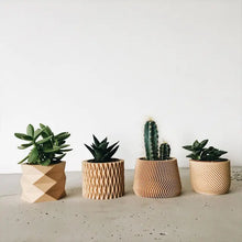 Load image into Gallery viewer, Mini wood planter - variety