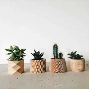 Mini wood planter - variety