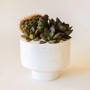 Speckled Footed Pot - White