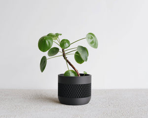 Mat Planter - Black