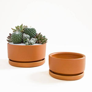 6.5" Low Bowl - Pumpkin Spice