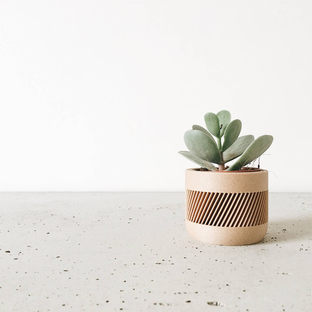 Therma planter