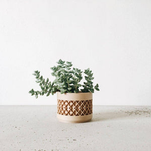 Aztek Planter